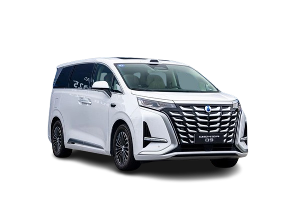 Denza D9