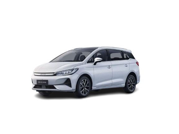 BYD M6